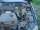 автобазар украины - Продажа 2004 г.в.  Daewoo Sens 